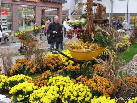 Amazing Flower Festival at Baguio City, Philippines