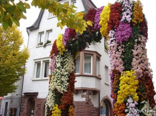 Amazing Flower Festival at Baguio City, Philippines