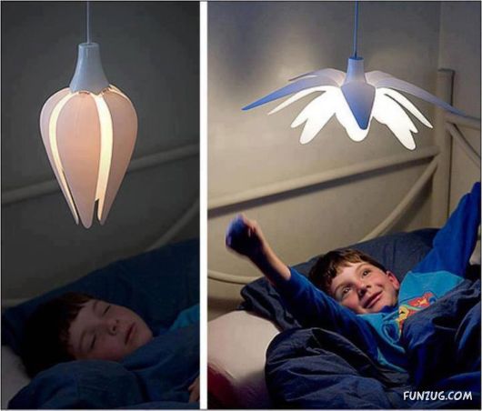 Creative Fun With Objects