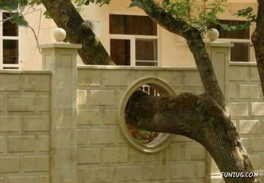 Creative Fun With Objects