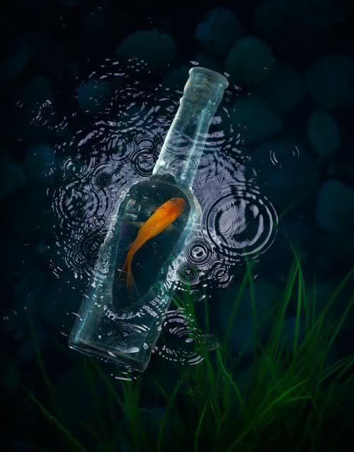 Funny Photoshop Creations