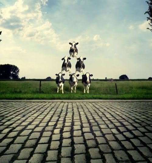 Funny Photoshop Creations