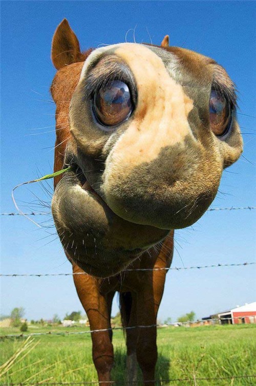 The Miracles of Photoshop