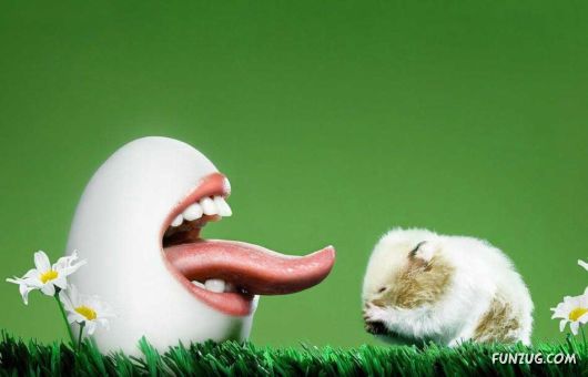 Real Life - Real Photoshop