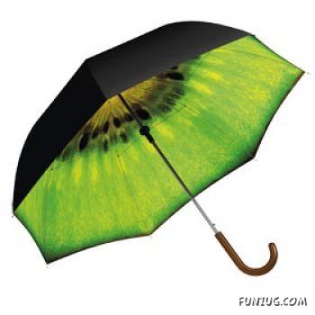 Most Creative Umbrella Designs