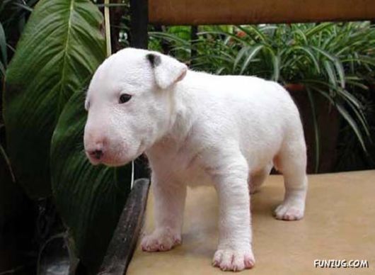 Here is Your Awwww for the Day