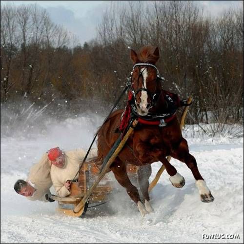 Cool Daily Funny Pix 4 You