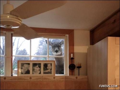 Cool Daily Funny Pix 4 You