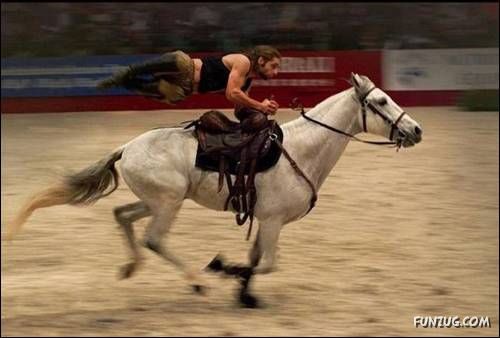 Cool Daily Funny Pix 4 You