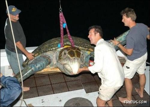 Cool Daily Funny Pix 4 You