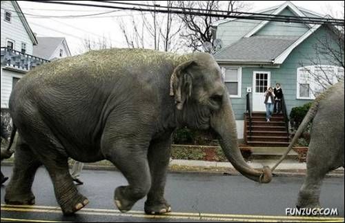 Cool Daily Funny Pix 4 You