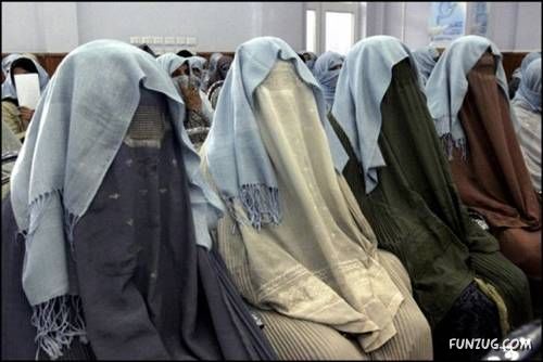 Cool Daily Funny Pix 4 You