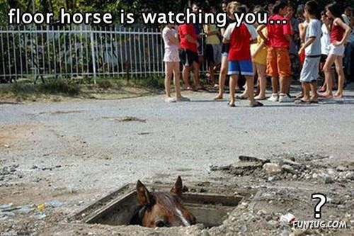 Crazy Mix Funny Images