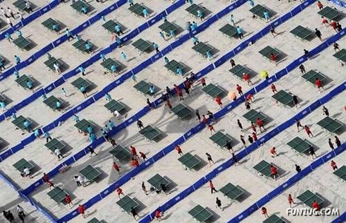 Crazy Mix Funny Images