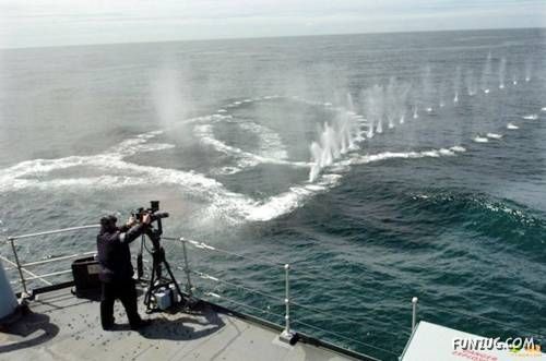 Crazy Pictures to Cheer You Up