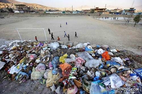 Crazy Pictures to Cheer You Up