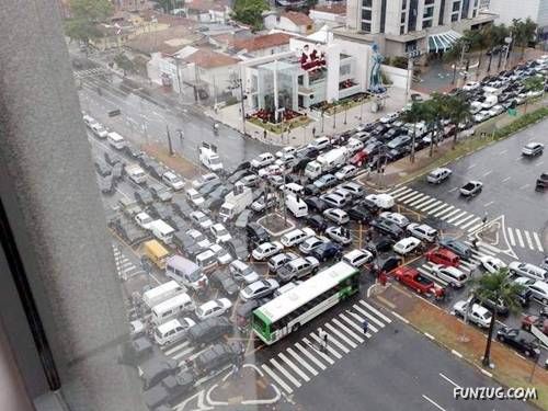 Crazy Pictures to Cheer You Up