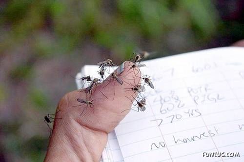 Crazy Pictures to Cheer You Up