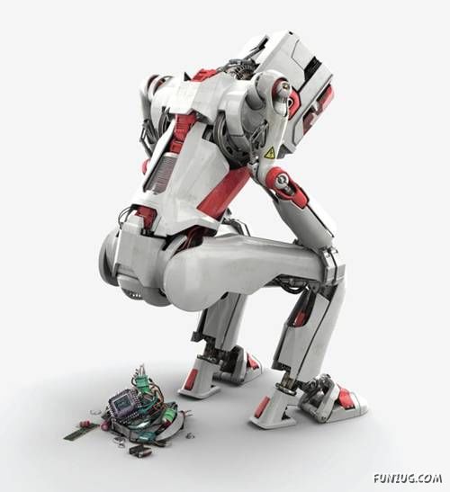 Daily Fun to Make You Smile