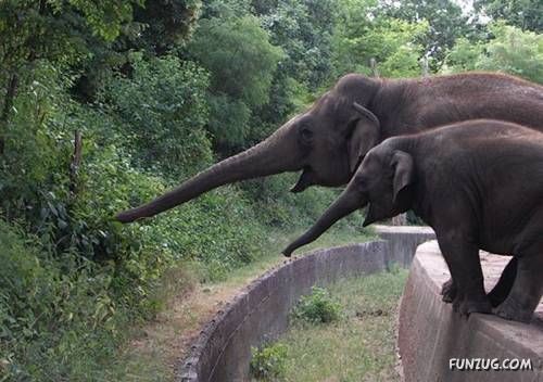 Daily Fun to Make You Smile