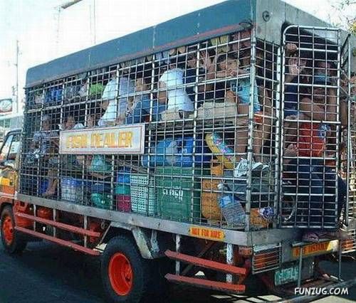 Daily Fun to Make You Smile