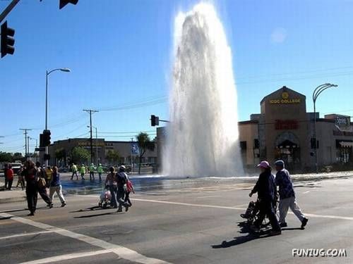 Daily Fun to Make You Smile