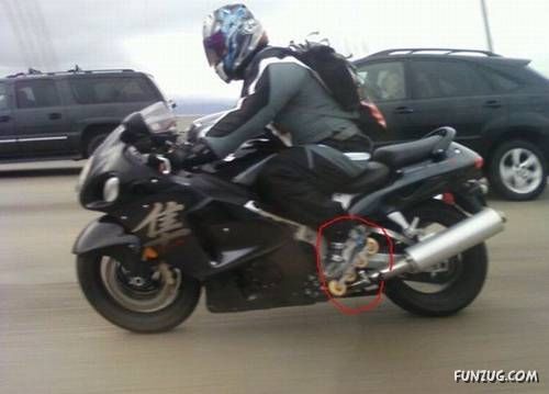 Daily Fun to Make You Smile