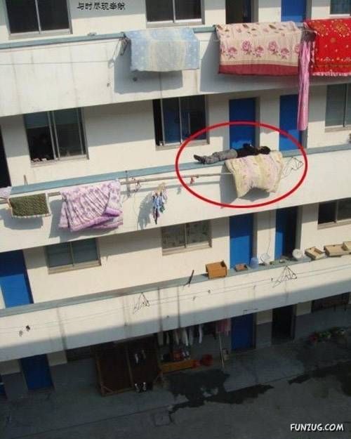 Daily Fun to Make You Smile