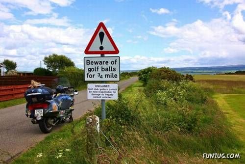 Daily Fun to Make You Smile