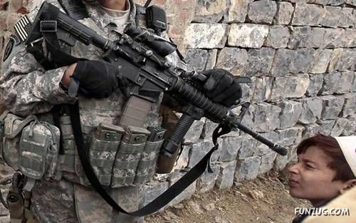 Daily Fun Pictures Dose