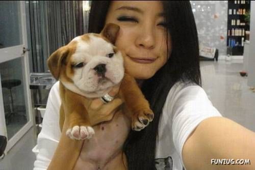 Daily Fun Pictures Dose