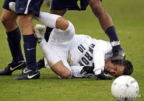 Daily Fun Pictures Dose