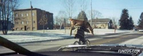 Daily Fun Pictures Dose