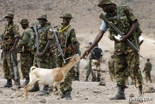 Daily Fun Pictures Dose