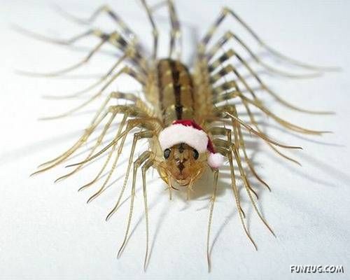 Daily Fun Pictures Dose