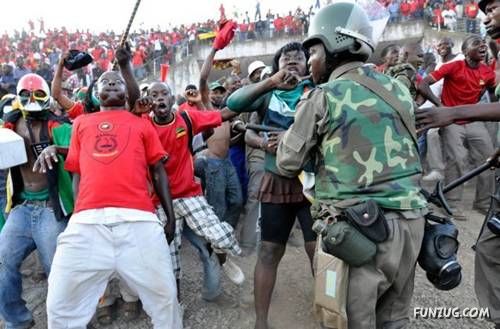 Daily Fun Pictures Dose