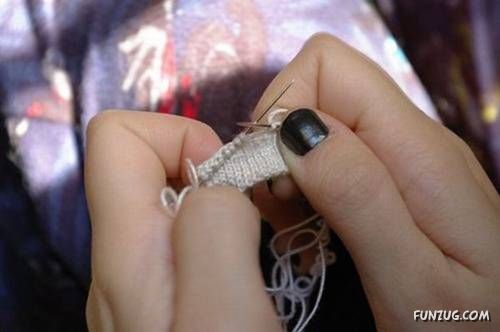 Daily Fun Pictures Dose