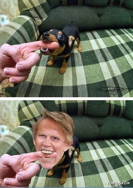 Daily Fun Pictures Dose