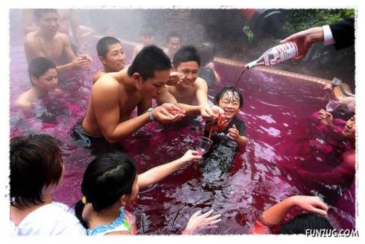 Daily Dose of Funny Pic Shots