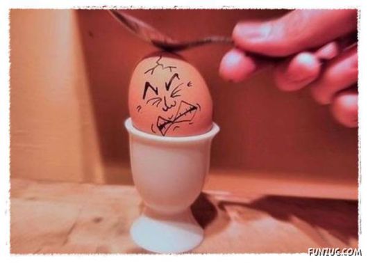 Daily Dose of Funny Pic Shots