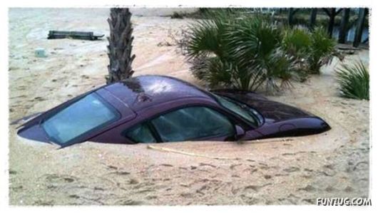 Daily Dose of Funny Pic Shots