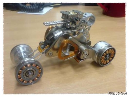 Daily Dose of Funny Pic Shots