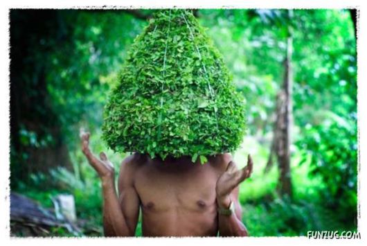 Daily Dose of Funny Pic Shots