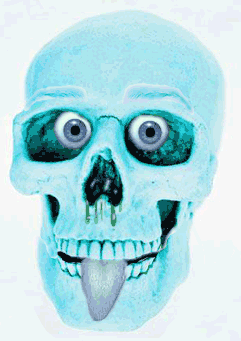 Funny Animated Pictures