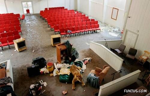 Funny Shots for Funny People