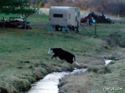 Funny Shots for Funny People