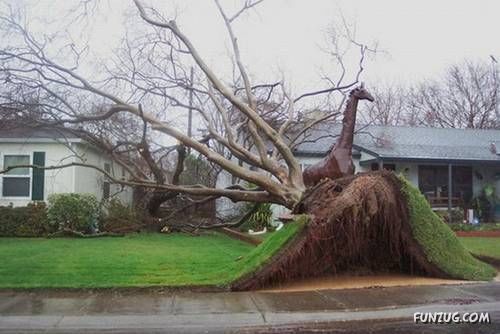 Funny Shots for Funny People