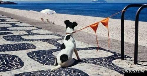 Funny Shots for Funny People