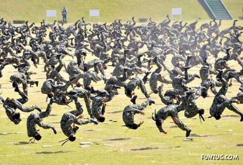 Funny Shots for Funny People