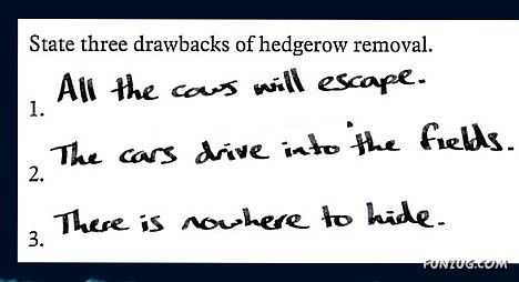 Funny Explanations by a Student